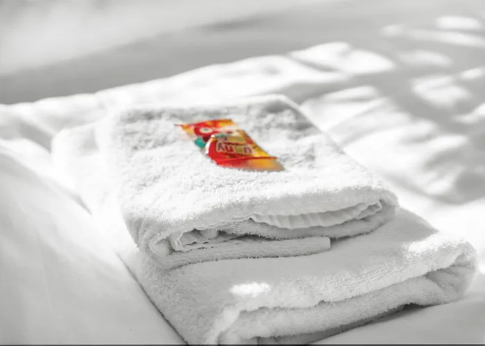 Premium - 12 People - Fully Equipped - 2 Min Station Duisburg